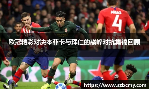 雷火电竞官方网站入口