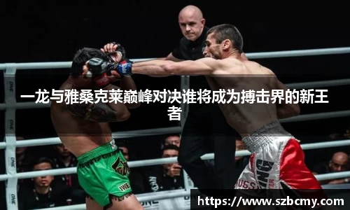 雷火电竞官方网站入口
